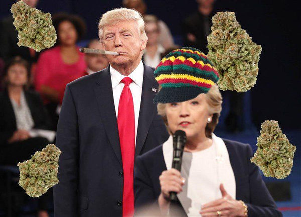 Presidential Candidates' Views on Cannabis - Election 2020